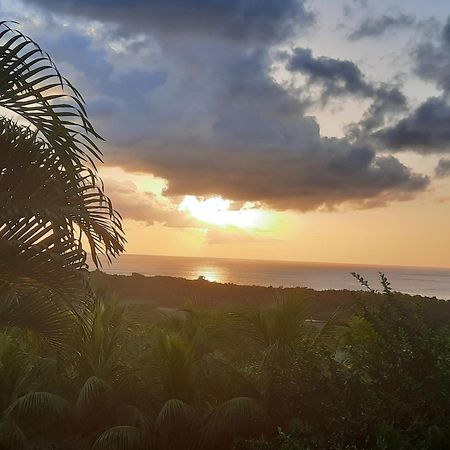 Villa Oasis De Grande Anse Deshaies Esterno foto